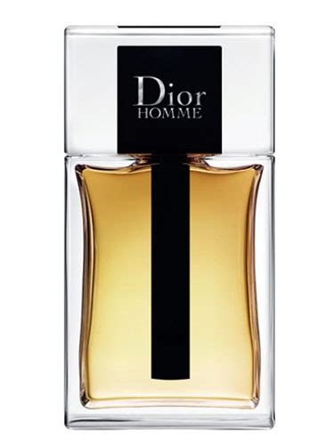 dior homme nep